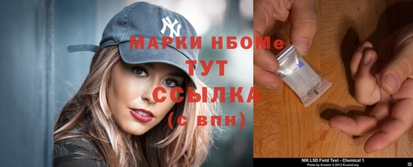 твердый Сосновый Бор