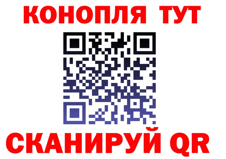 Альфа ПВП СК КРИС как войти площадка гидра Калтан