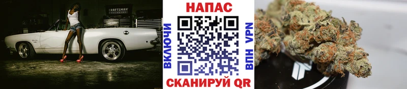 Каннабис White Widow  Калтан 